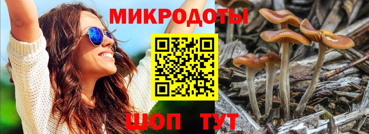 Галлюциногенные грибы Cubensis  Вход с VPN  купить наркотики цена  Можайск 